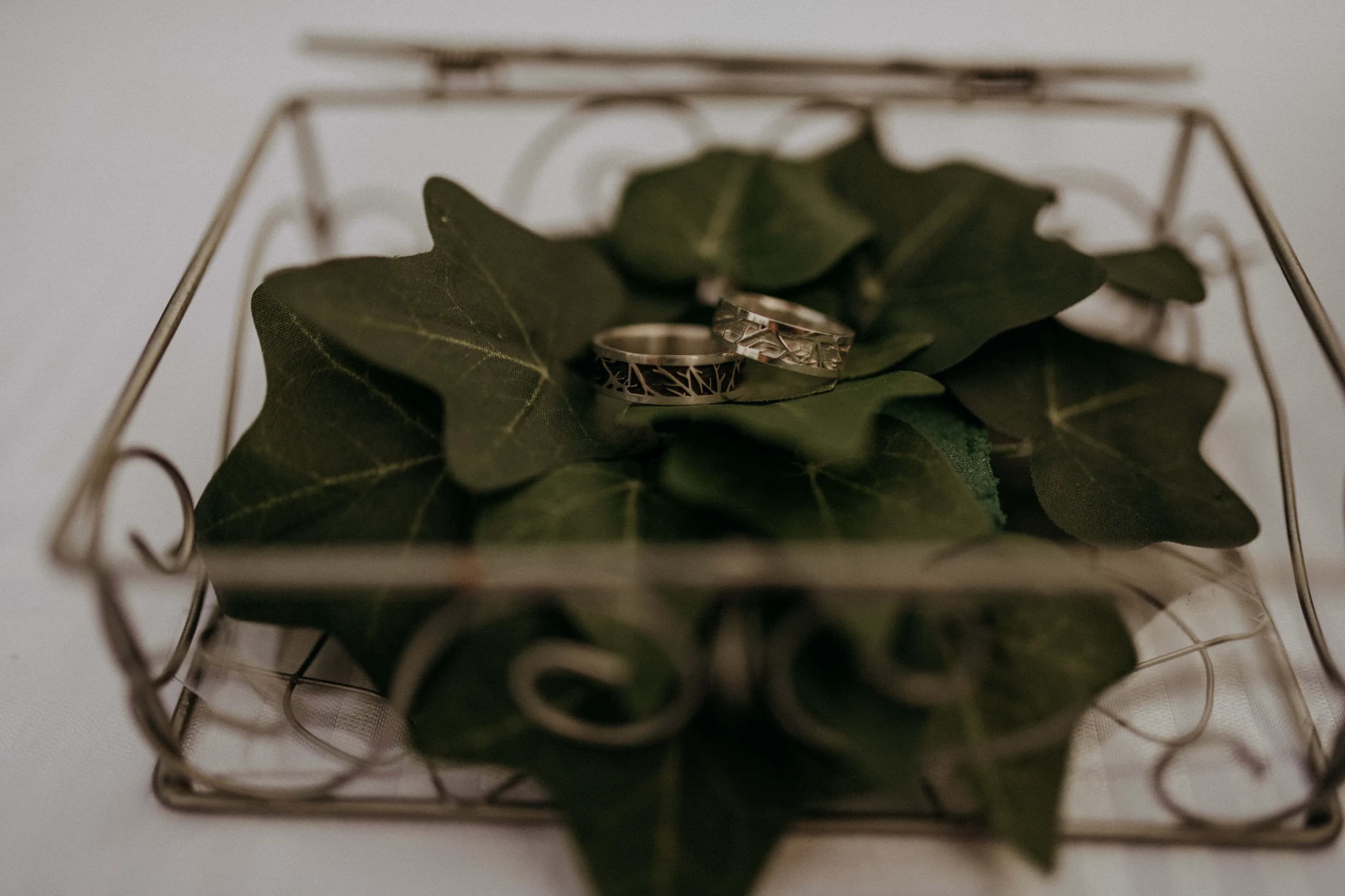 Ceremony under oak trees